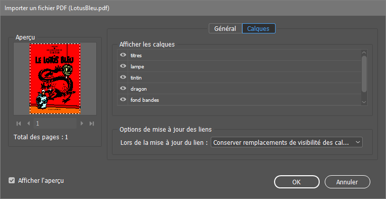 fenêtre de PDF Options Editor