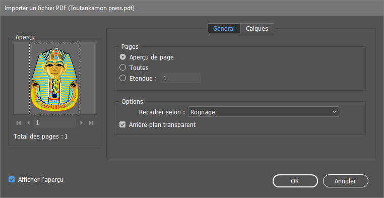 fenêtre de PDF Options Editor