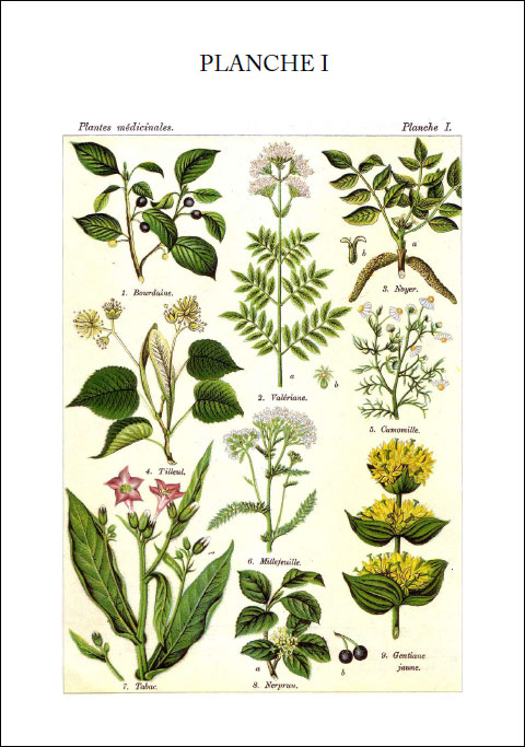 Planche 1 du livre Les plantes qui guérissent